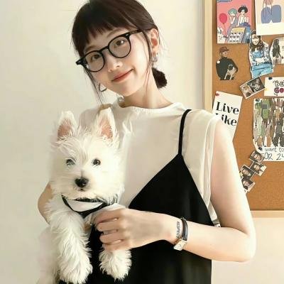 绝对舞力封面