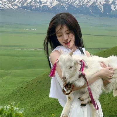挚爱今犹在封面